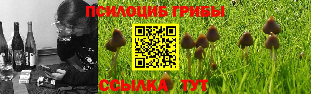 Новодвинск  Псилоцибиновые грибы ЛСД  Псилоцибиновые грибы мухоморы  Вход с VPN 