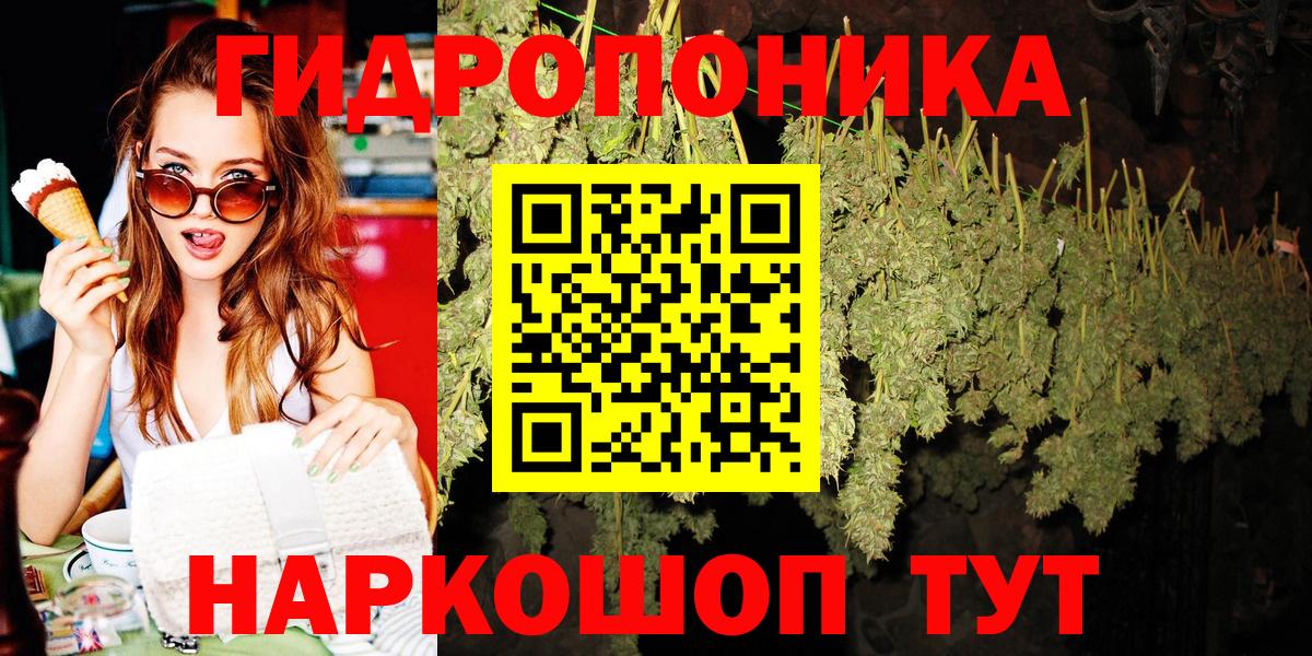 Конопля Amnesia Новодвинск